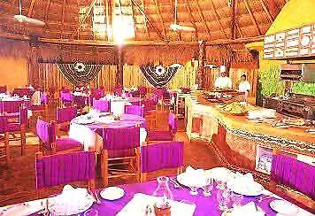 Club Bananas Hotel Playacar